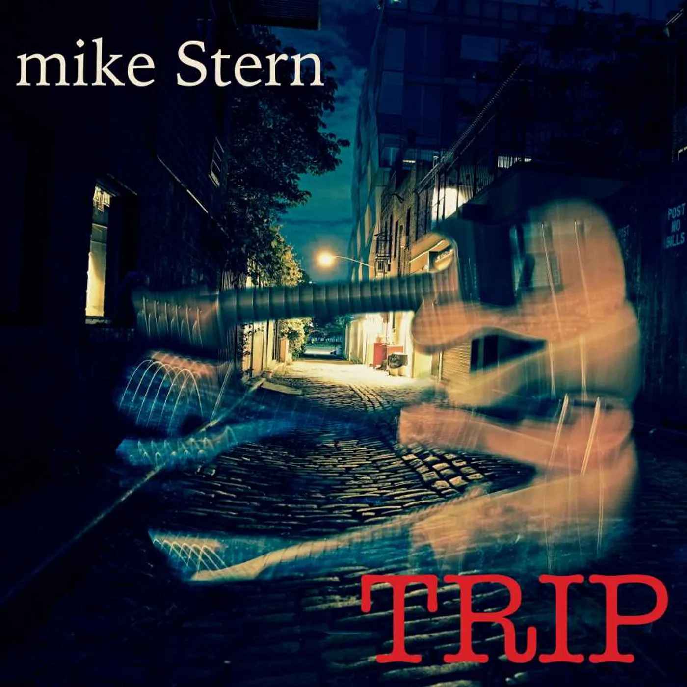 Mike Stern TRIP CD