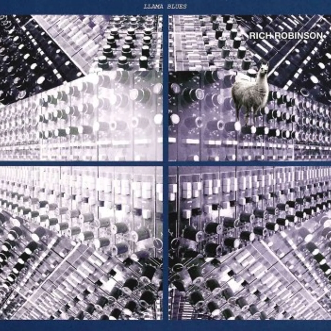 Rich Robinson LLAMA BLUES EP CD