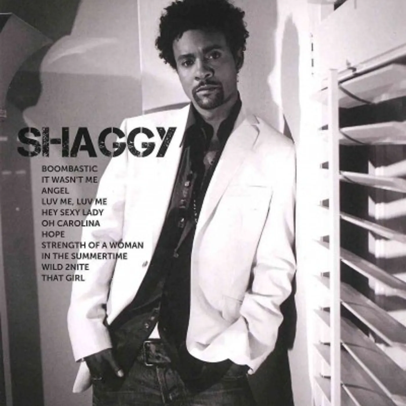Shaggy ICON CD