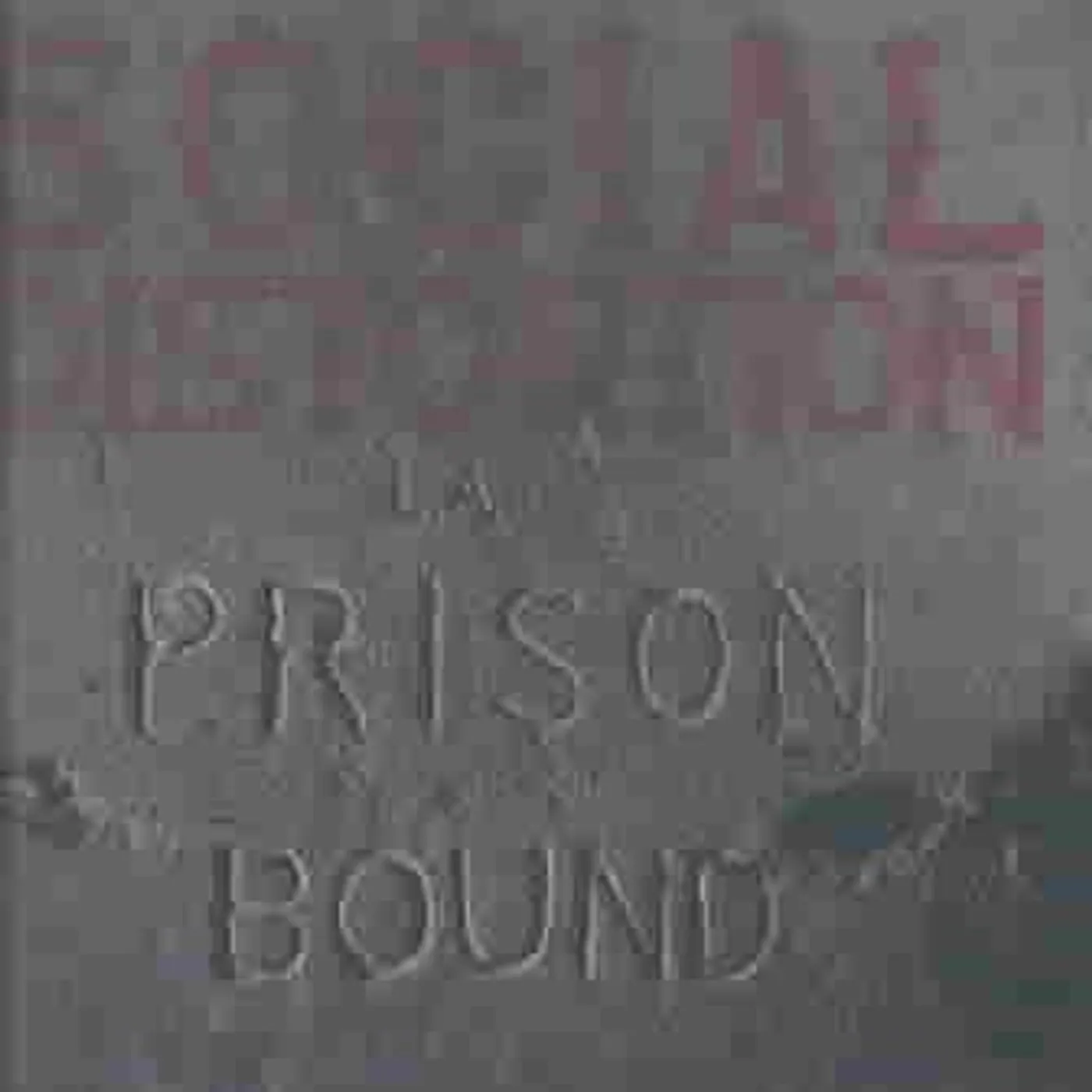 Social Distortion PRISON BOUND CD