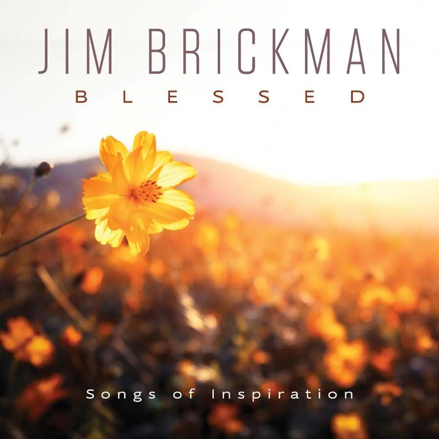 Jim Brickman BLESSED CD