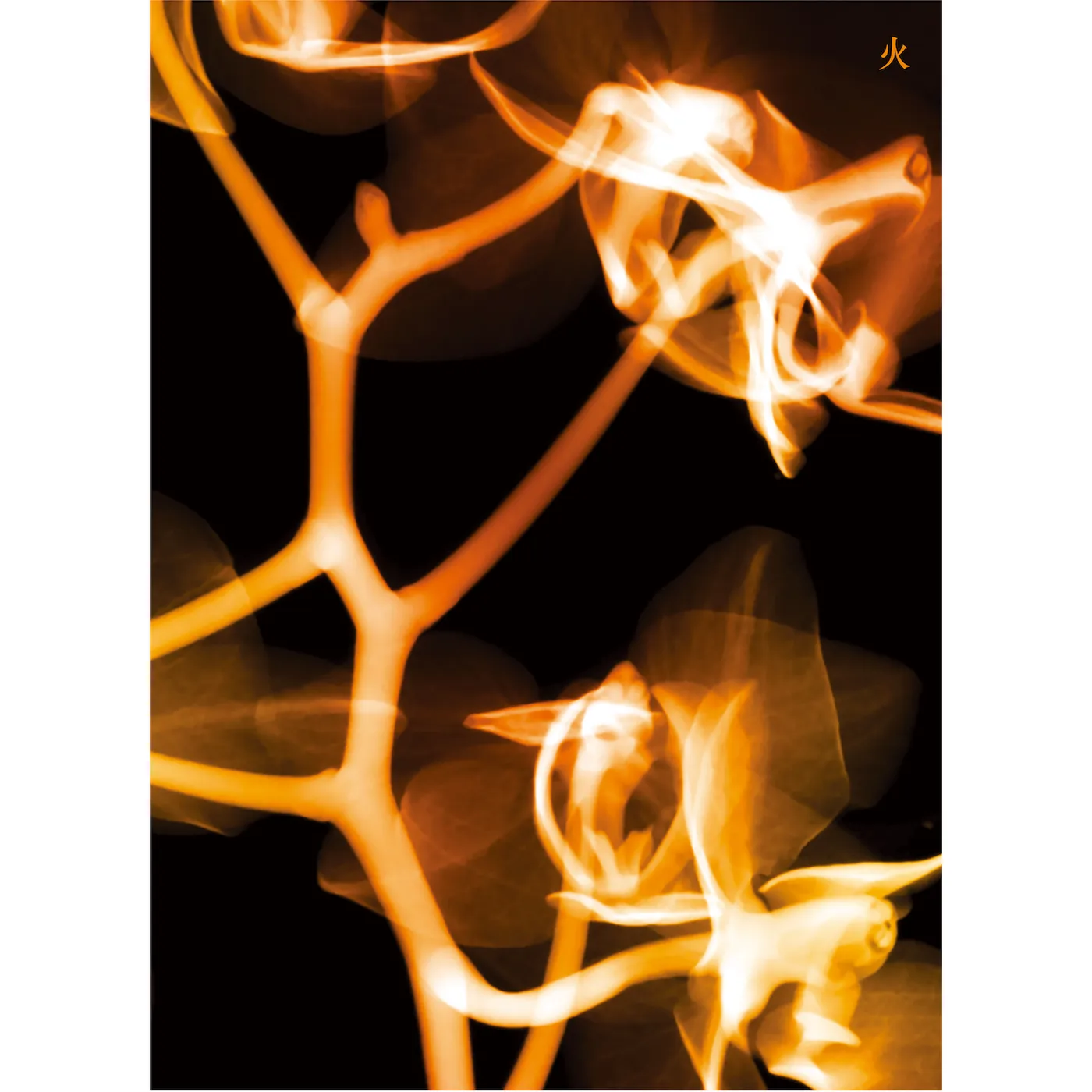 (G)I-DLE I BURN (FIRE VERSION) CD