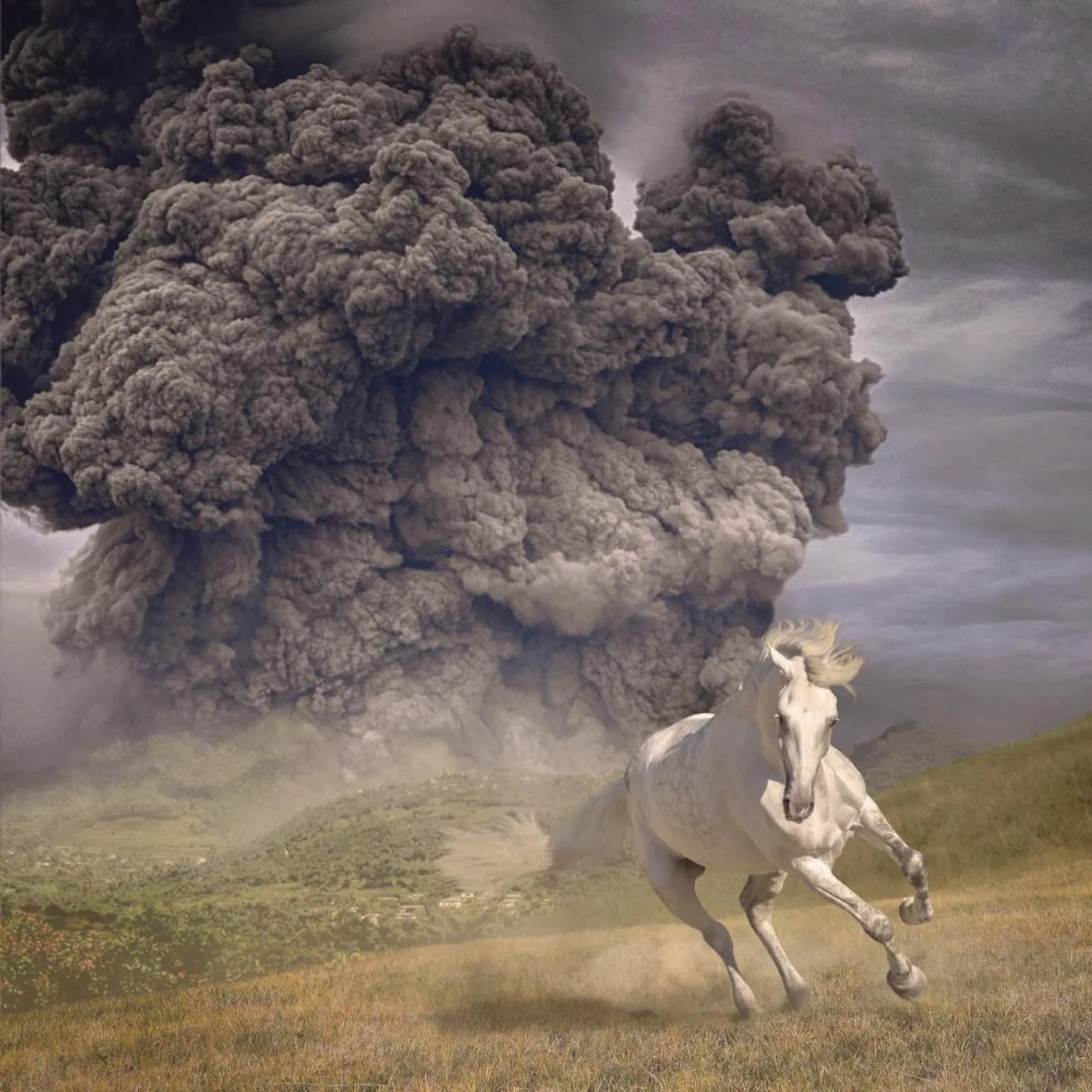 The White Buffalo YEAR OF THE DARK HORSE CD