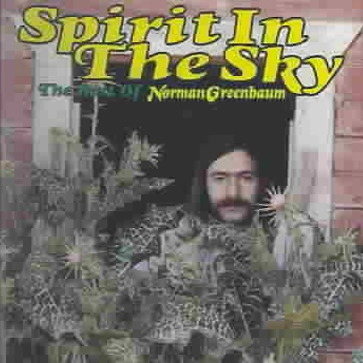 Norman Greenbaum Spirit In The Sky: The Best Of CD