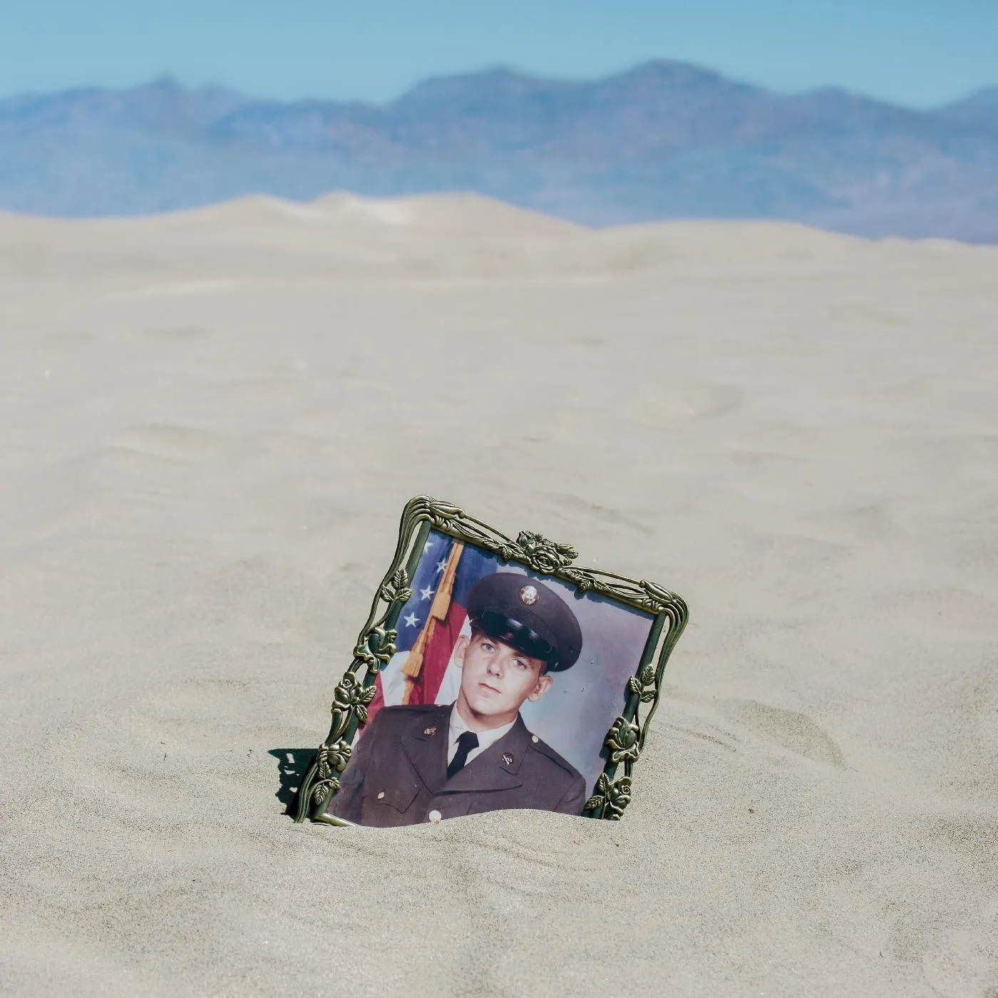 Business of Dreams RIPE FOR ANARCHY CD