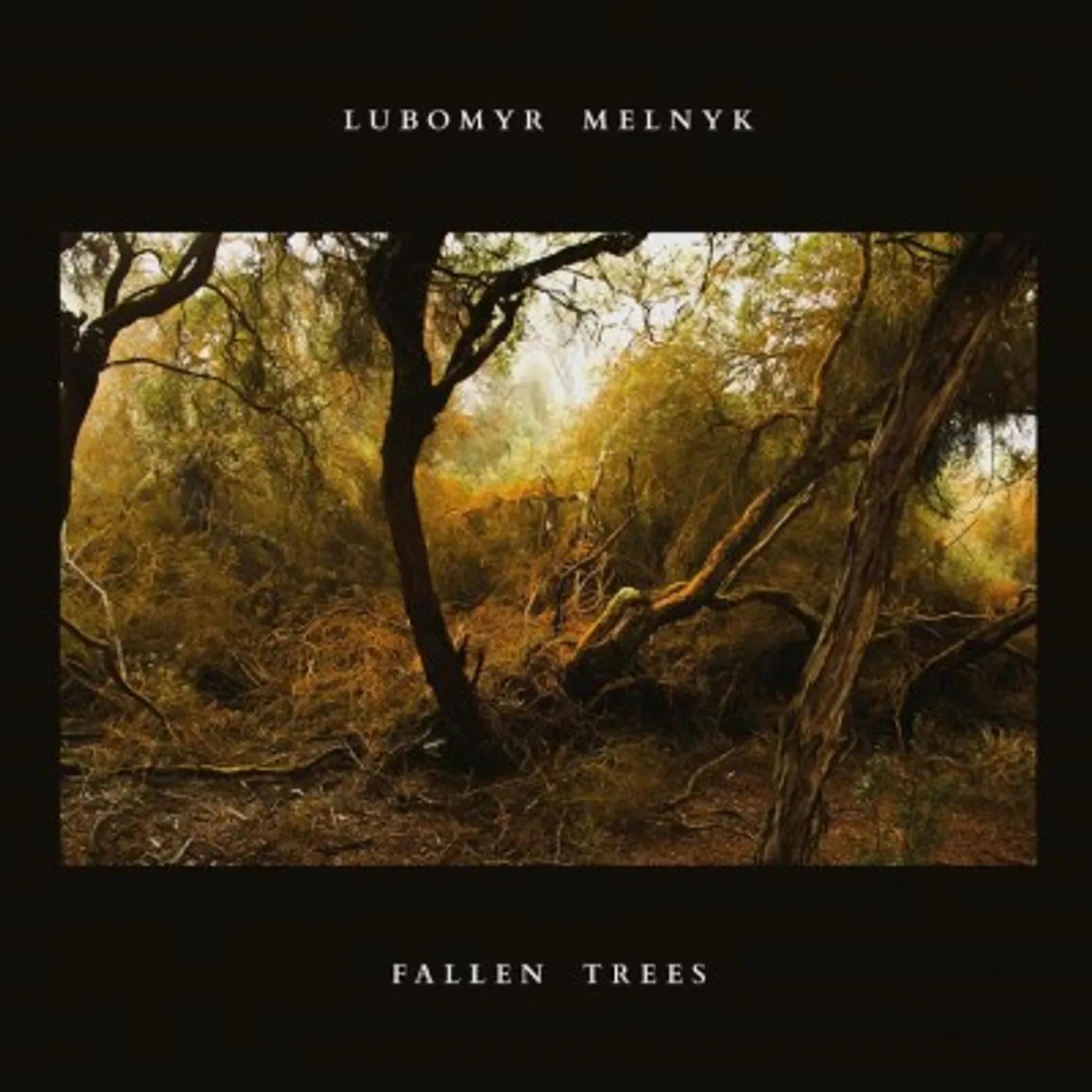 Lubomyr Melnyk Fallen Trees CD