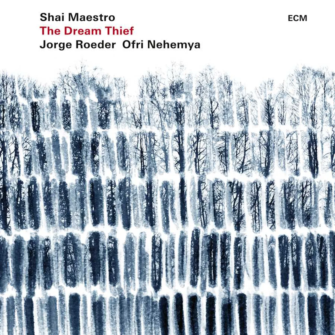 Shai Maestro Trio The Dream Thief CD