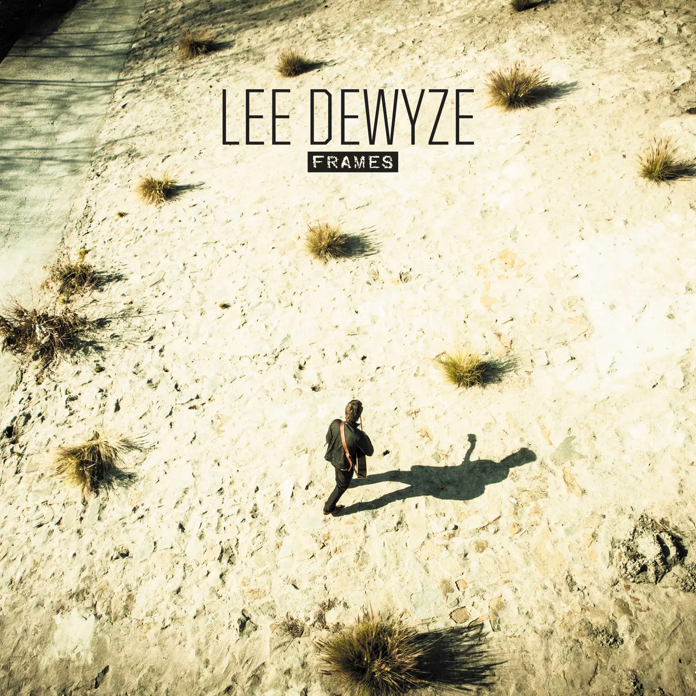 Lee DeWyze Frames CD