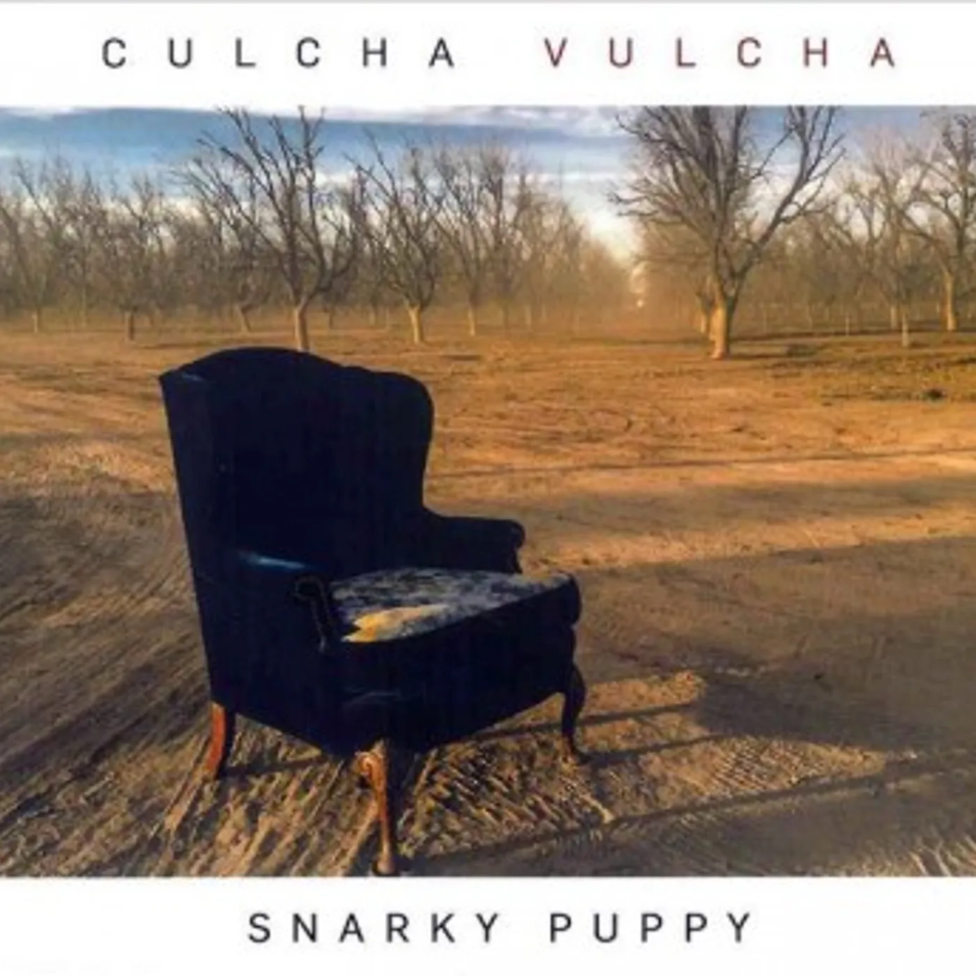 Snarky Puppy Culcha Vulcha CD
