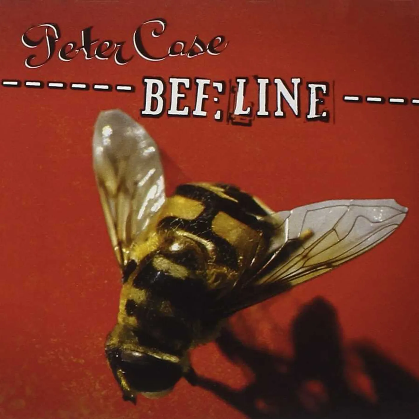Peter Case Beeline CD