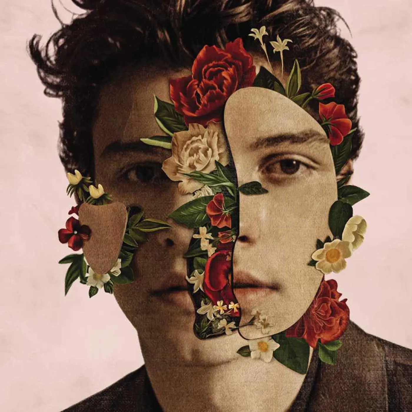 SHAWN MENDES (DELUXE) CD