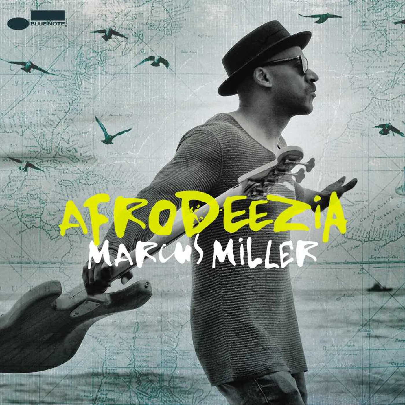 Marcus Miller Afrodeezia CD