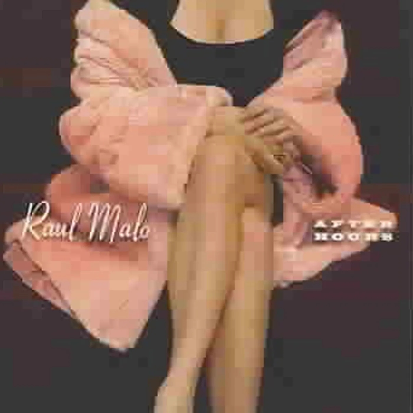 Raul Malo After Hours CD