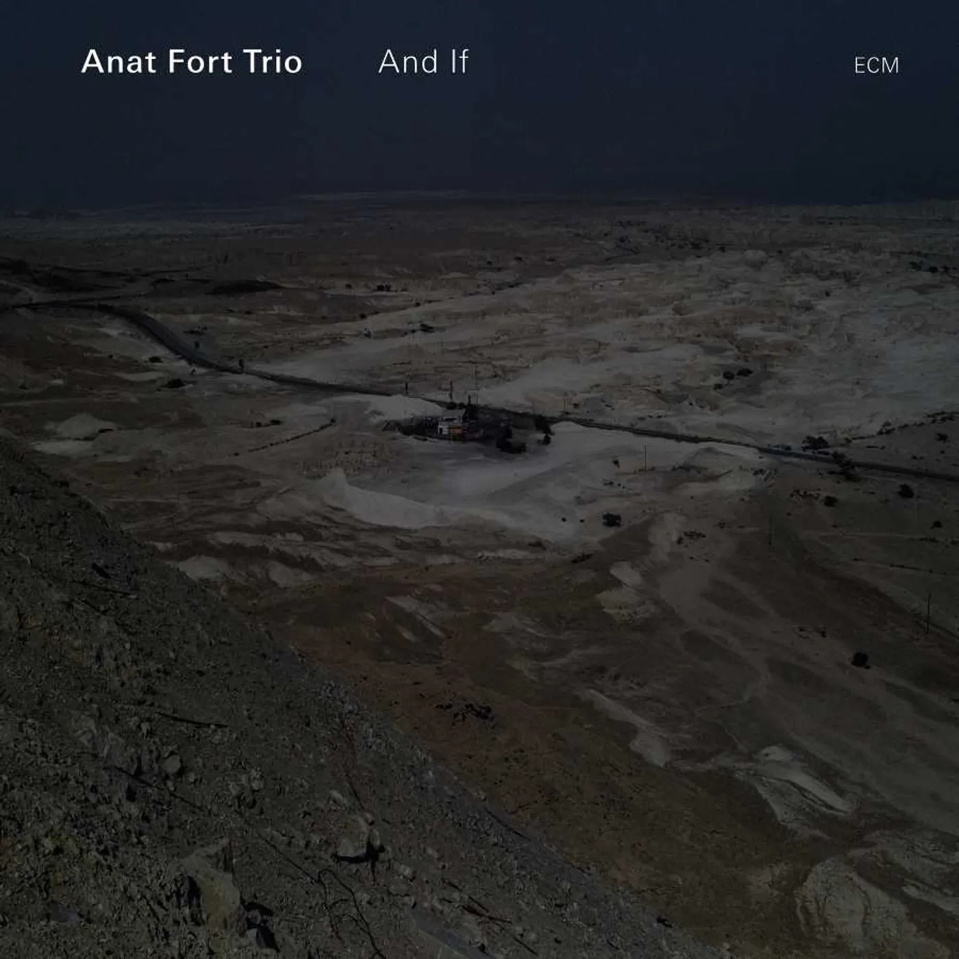Anat Fort Trio And If CD