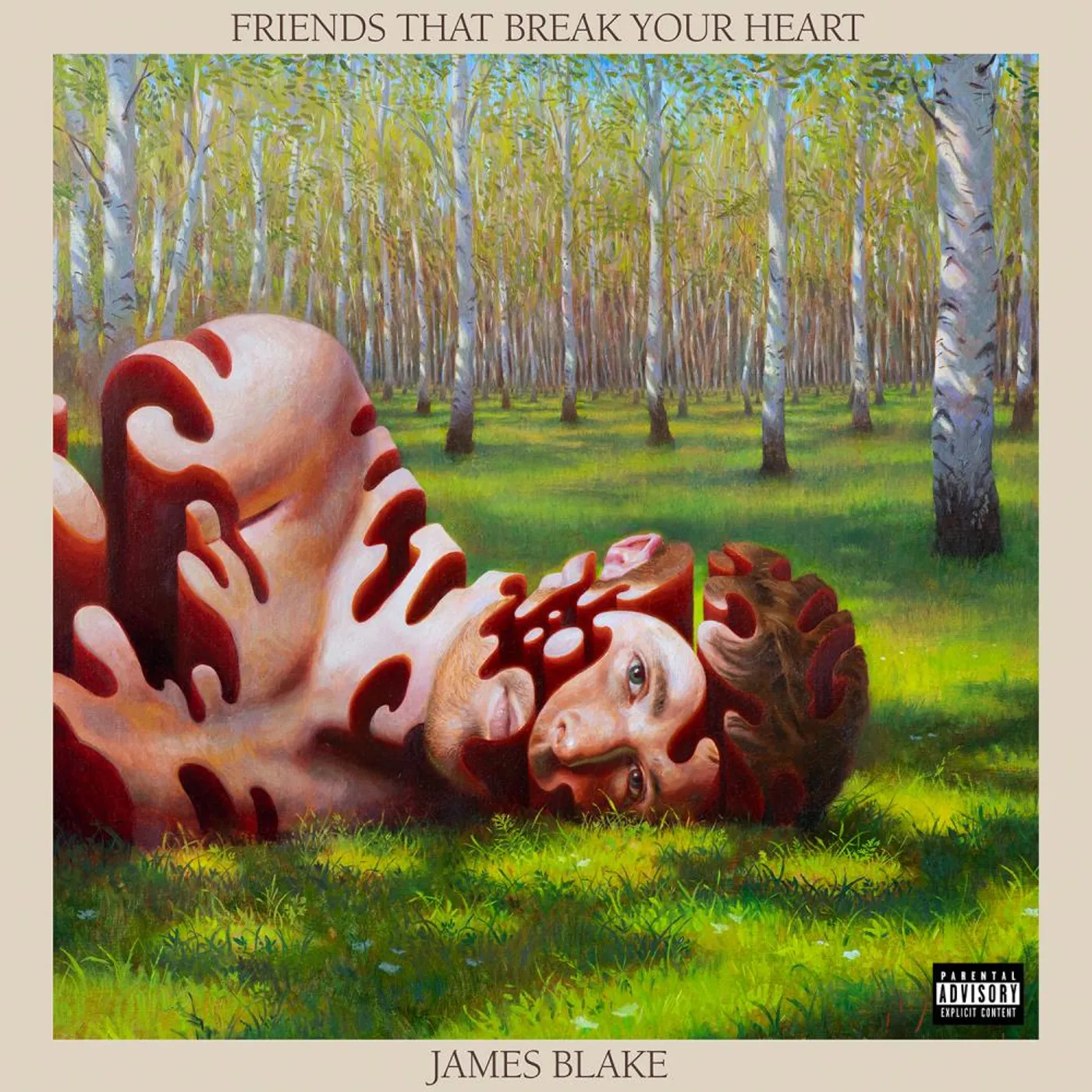 James Blake FRIENDS THAT BREAK YOUR HEART CD