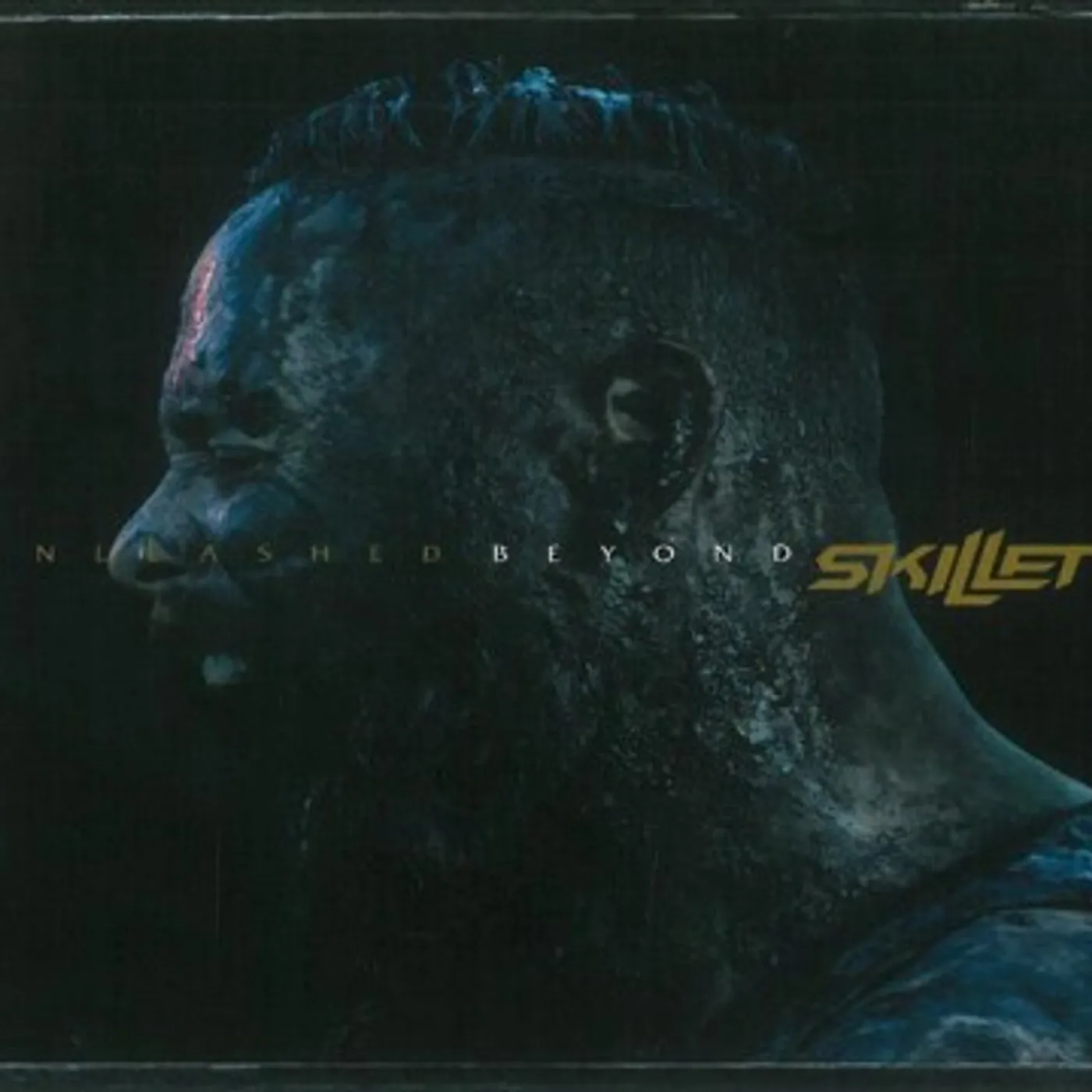 Skillet Unleashed Beyond (Special Edition) CD