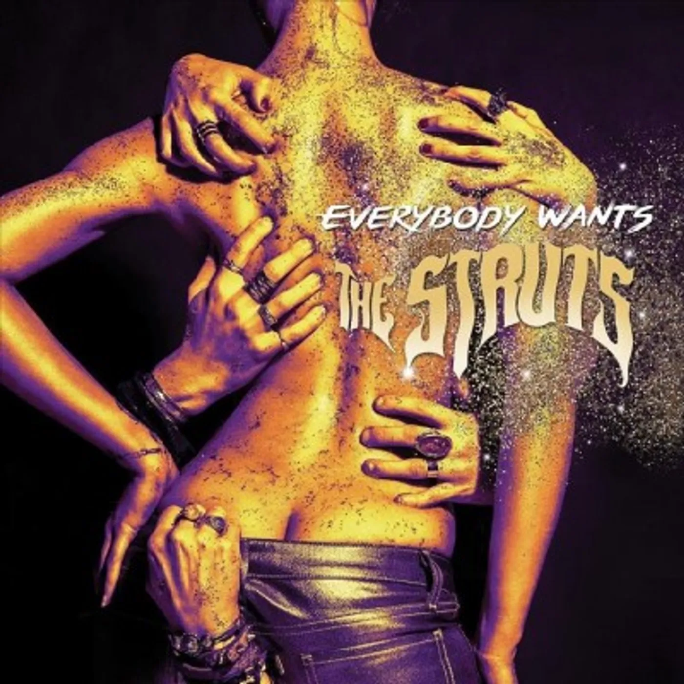 The Struts Everybody Wants Vinyl Record