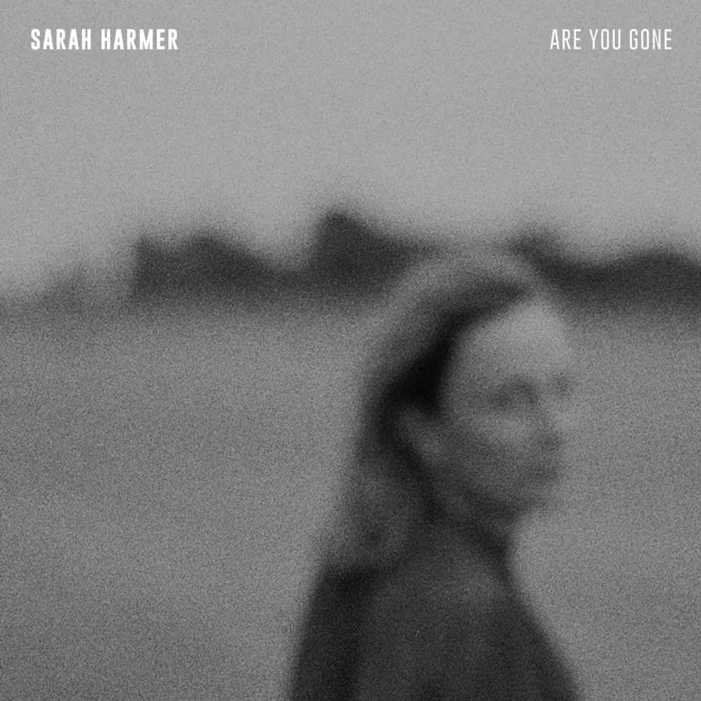 Sarah Harmer Are You Gone Vinyl Record