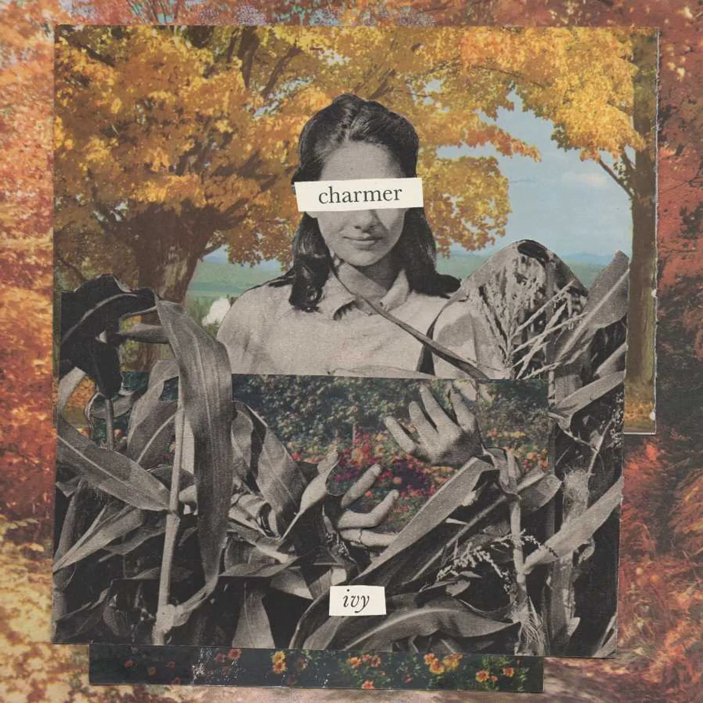 Charmer Ivy (Lp) Vinyl Record