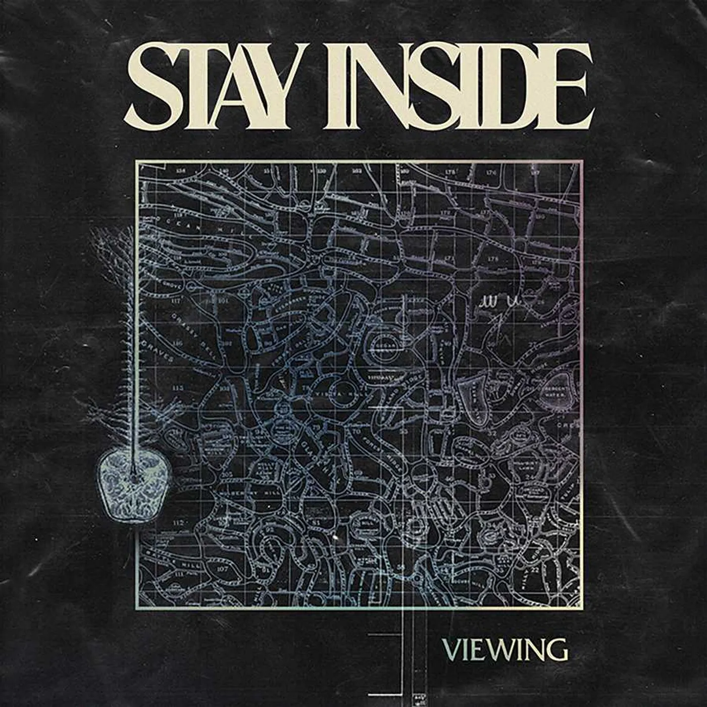 Stay Inside Viewing Vinyl Record