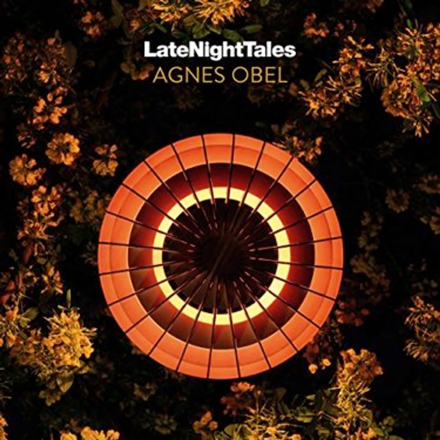 Late Night Tales: Agnes Obel Vinyl Record