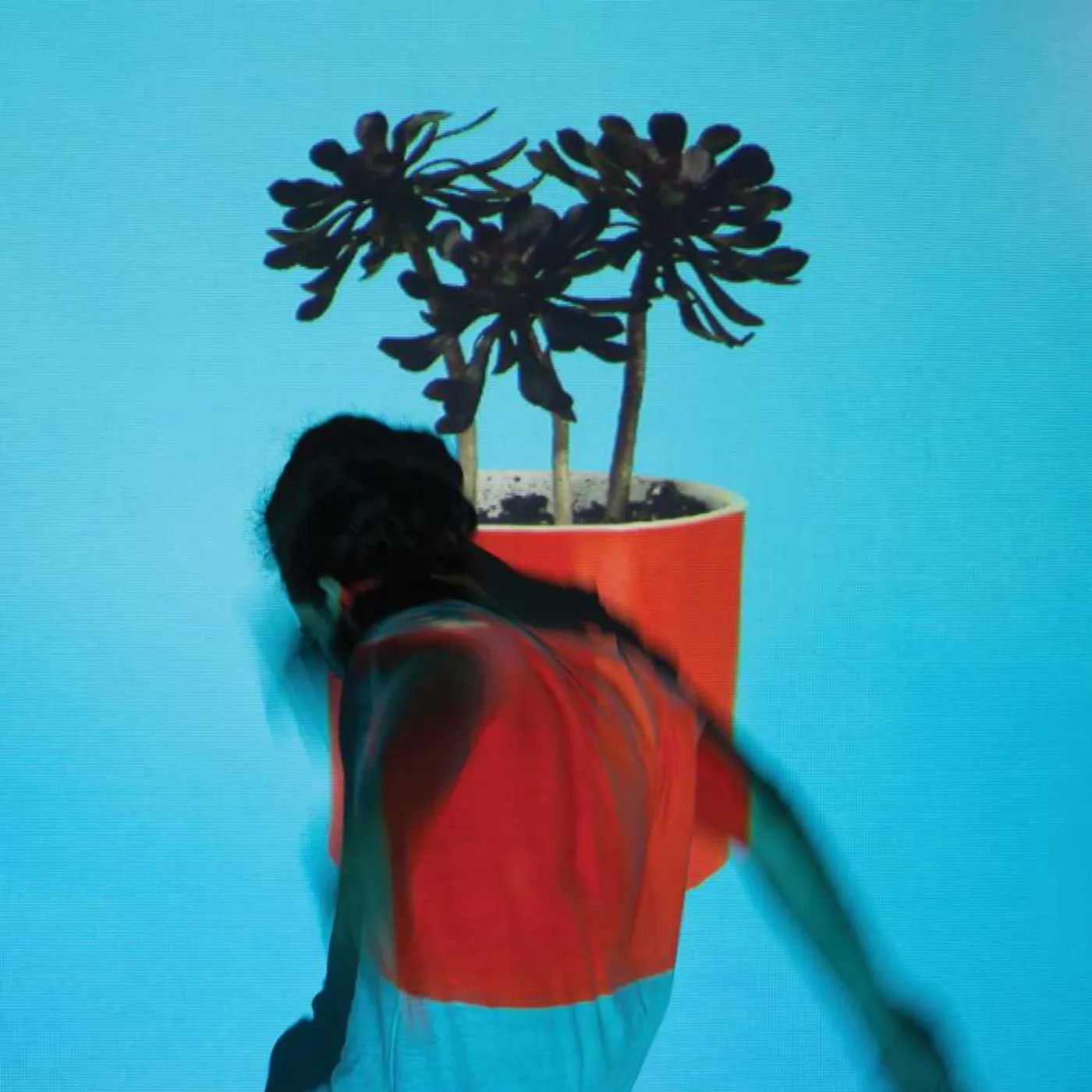 Local Natives SUNLIT YOUTH (150G/DL CARD) Vinyl Record