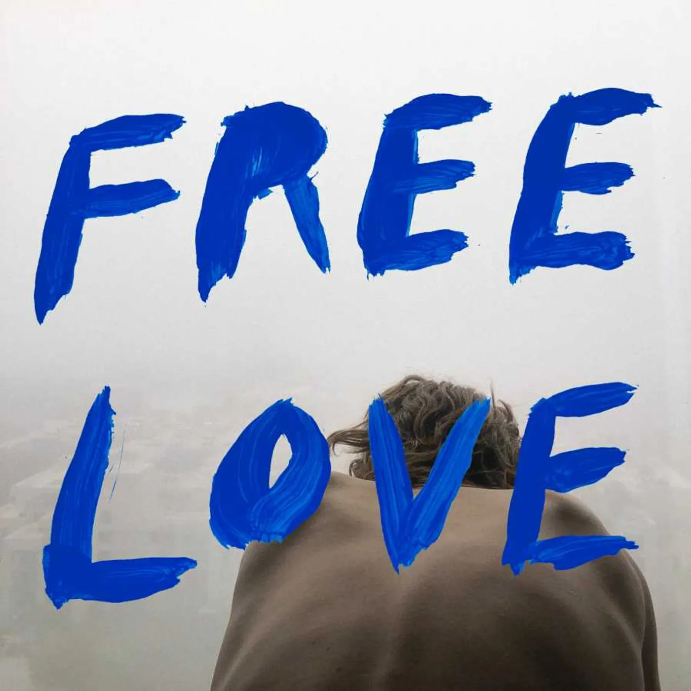 Sylvan Esso Free Love Vinyl Record
