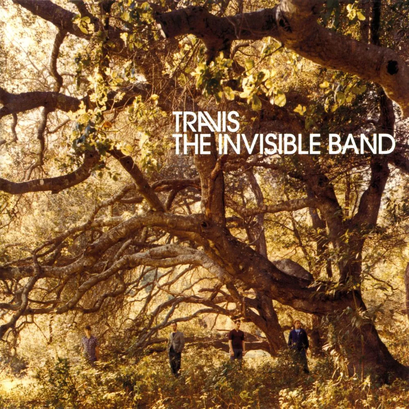 Travis Invisible Band (20TH ANNIVERSARY/DELUXE/2CD/CLEAR VINYL/2LP) (box set) Vinyl Record