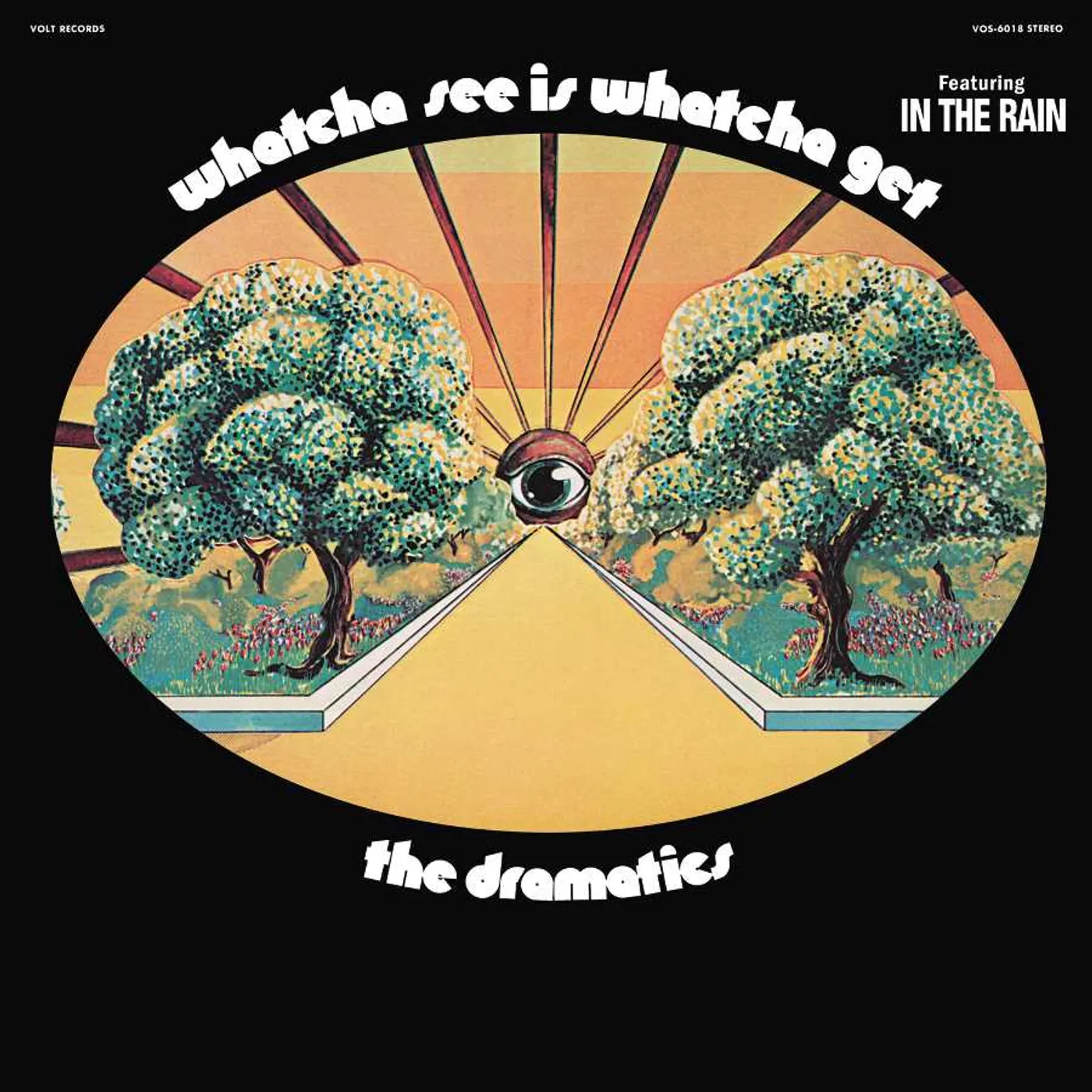 Dramatics Whatcha See Is Whatcha Get Vinyl Record