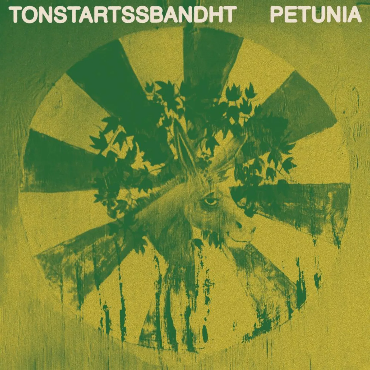 Tonstartssbandht Petunia (LP) Vinyl Record