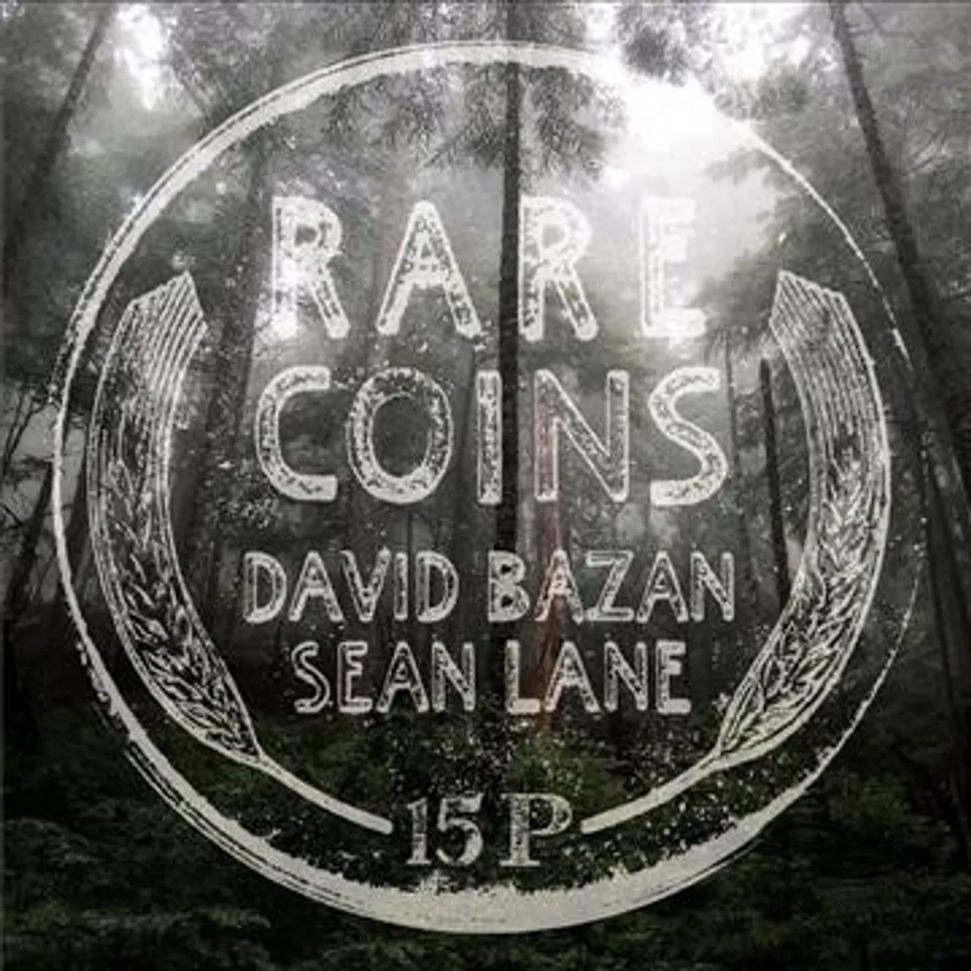 Rare Coins: David Bazan & Sean Lane Vinyl Record