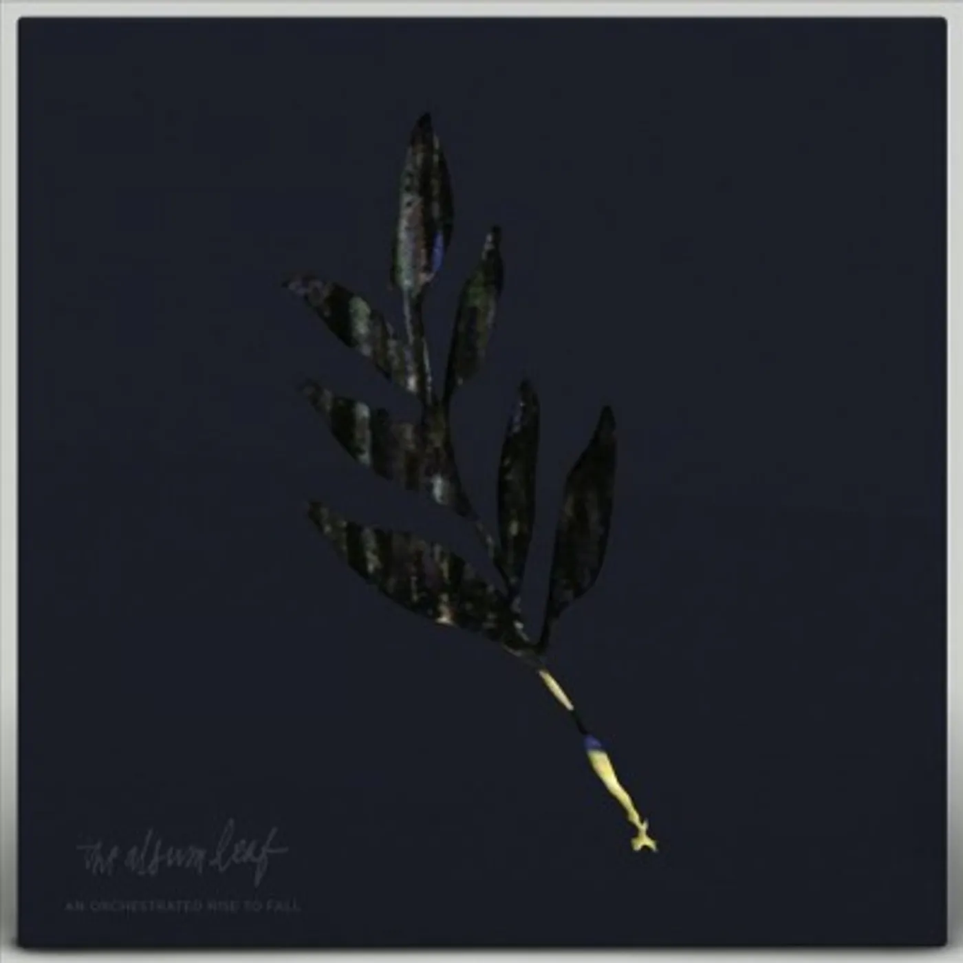 The Album Leaf AN ORCHESTRATED RISE TO FALL (BLUE & YELLOW STARBURST VINYL) Vinyl Record