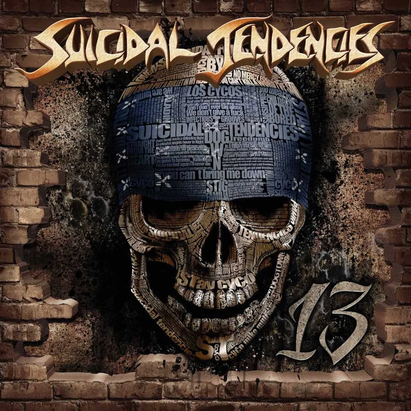 Suicidal Tendencies 13 (PICTURE DISC) Vinyl Record