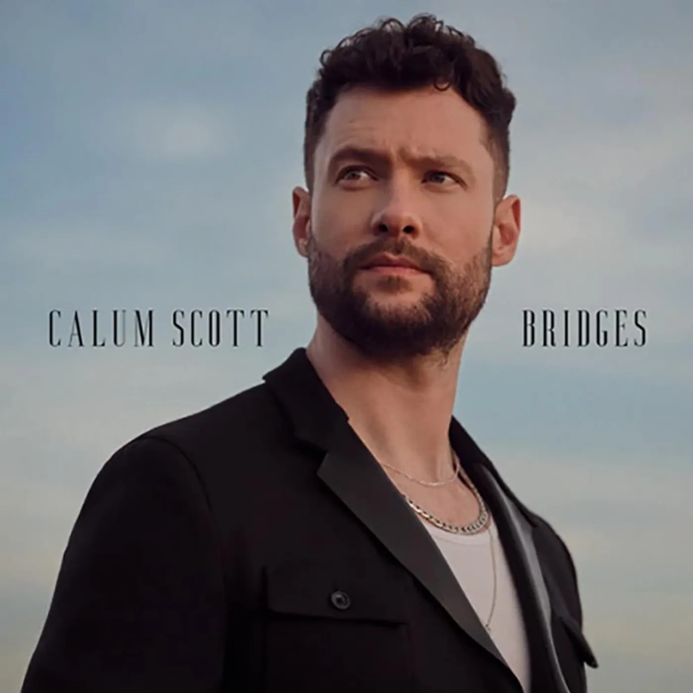 Calum Scott Bridges Vinyl Record