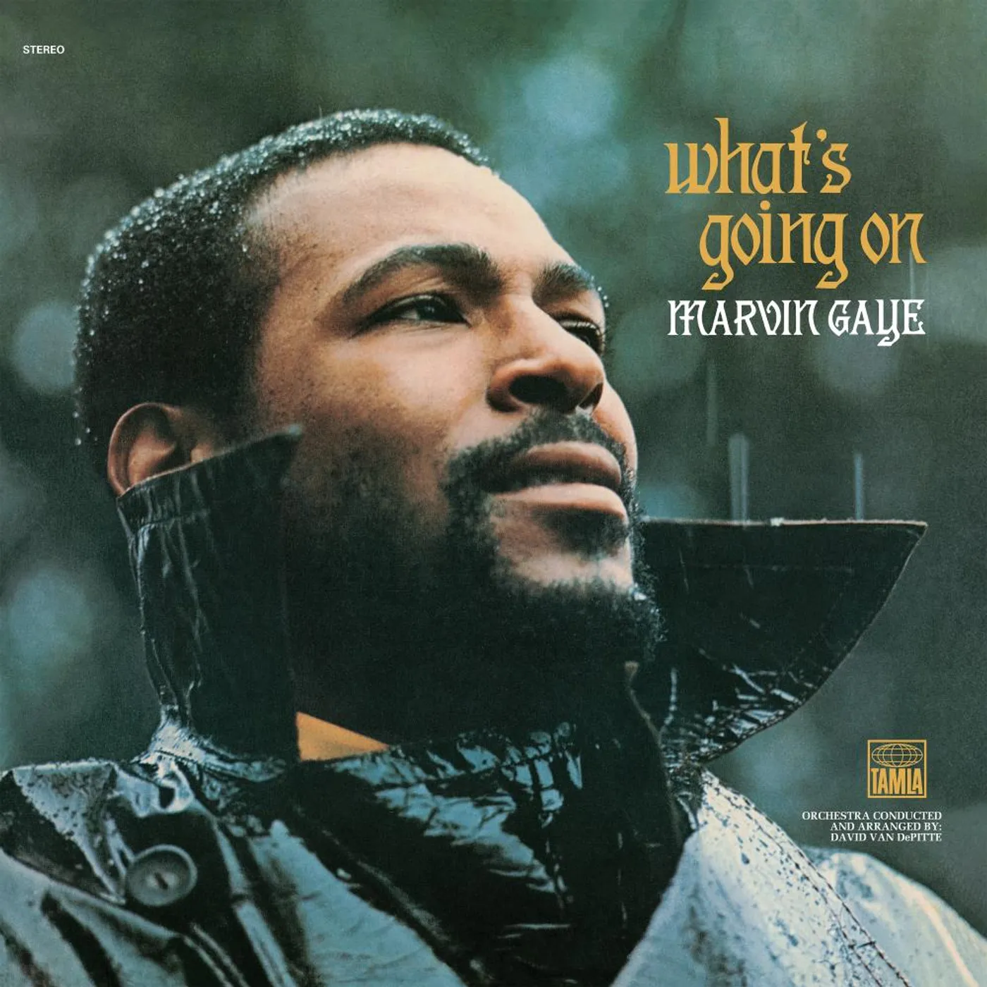 Marvin Gaye WHAT'S GOING ON (50TH ANNIVERSARY/2LP) Vinyl Record