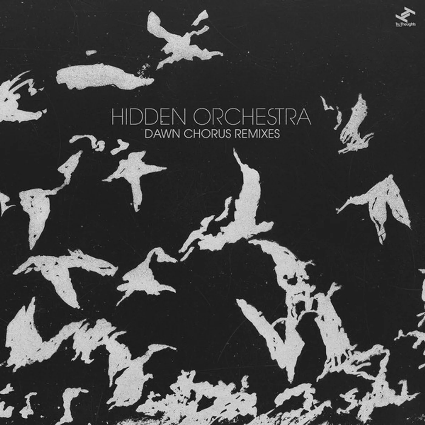 Hidden Orchestra Dawn Chorus Remixes Vinyl Record