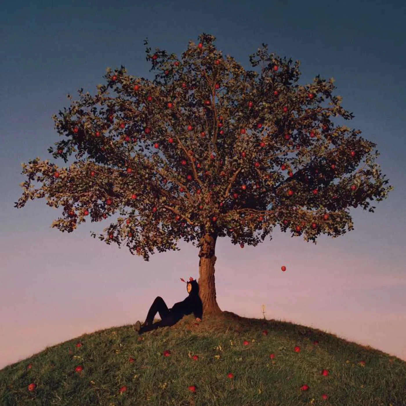 slowthai TYRON Vinyl Record