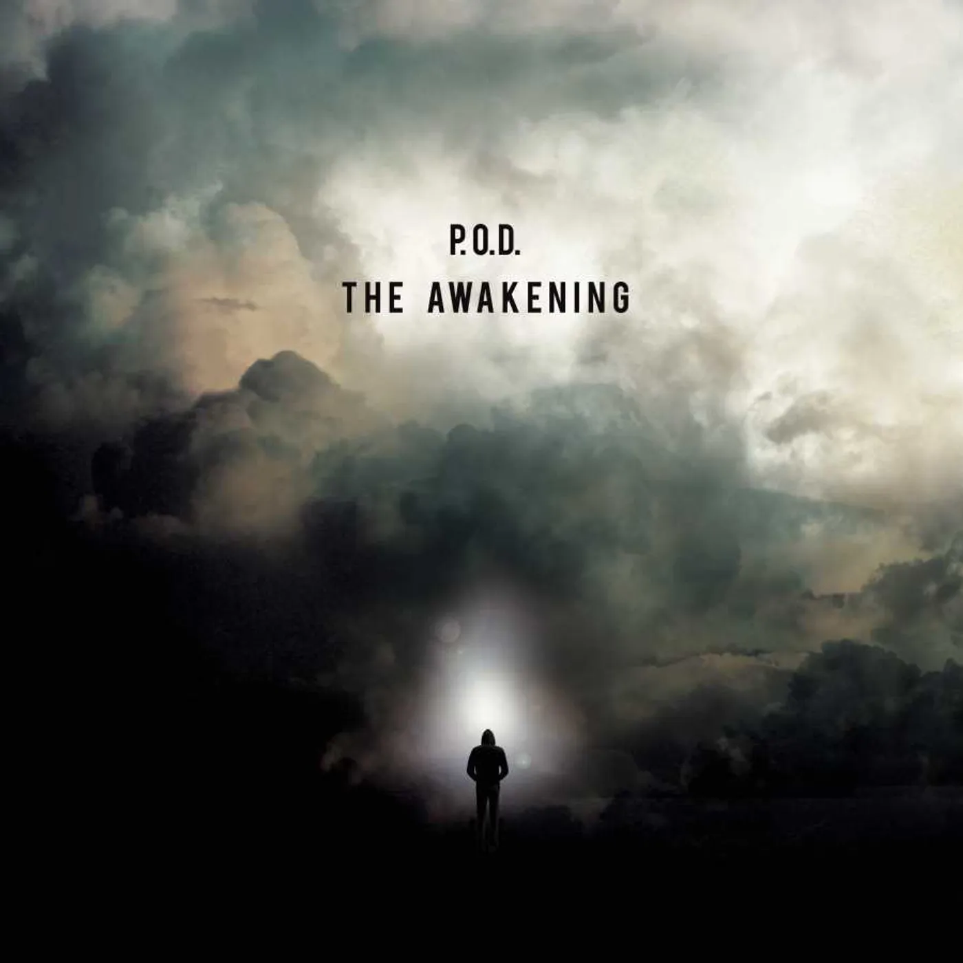 P.O.D. Awakening Vinyl Record