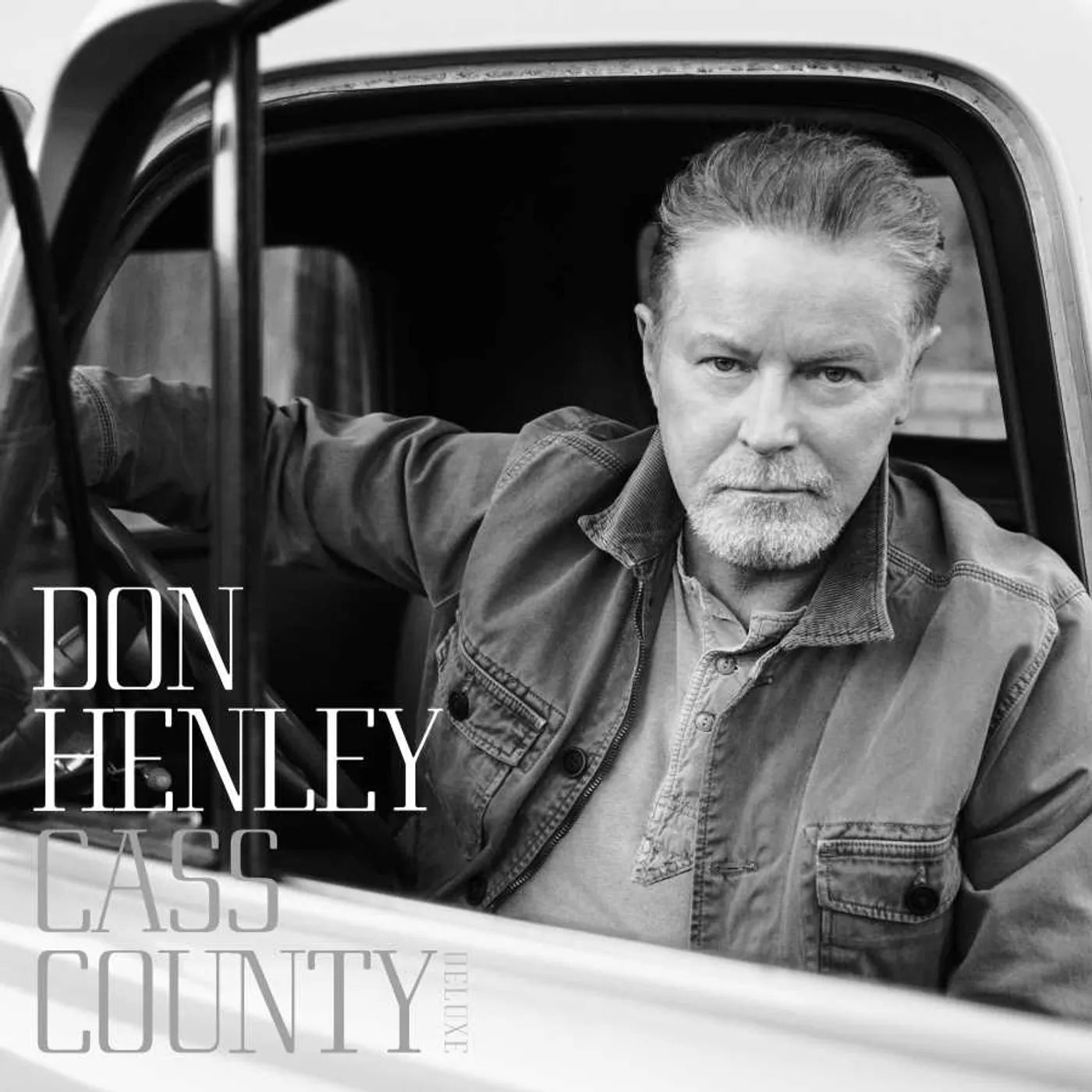 Don Henley Cass County Vinyl Record