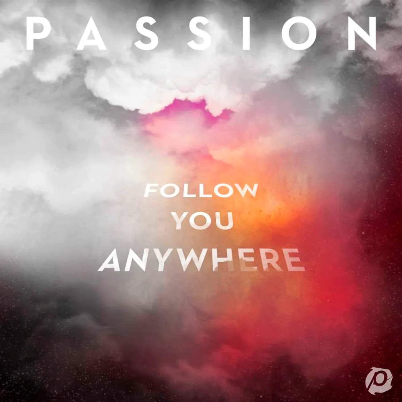 Various Artists / Passion Follow You Anywhere Vinyl Record