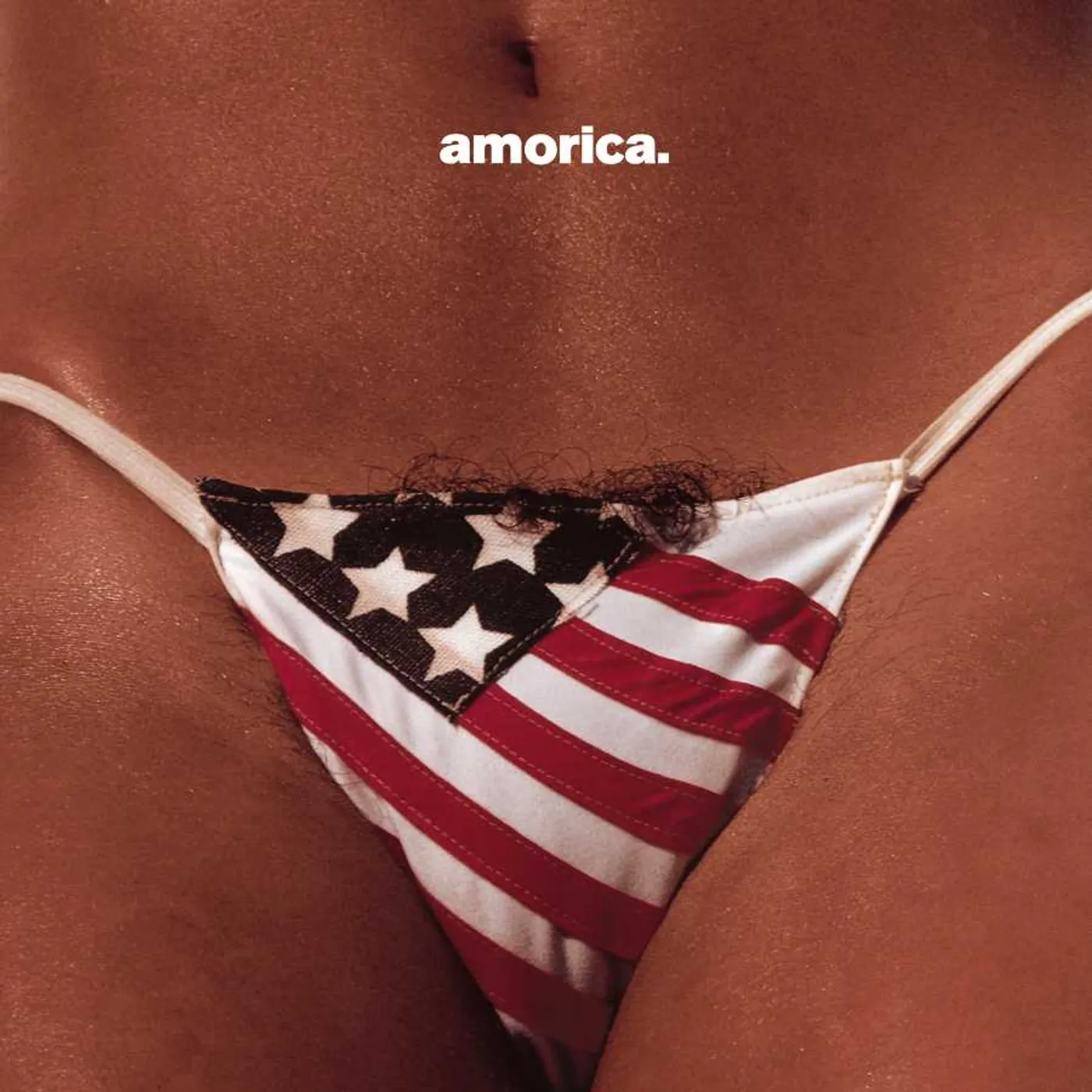 The Black Crowes AMORICA Vinyl Record