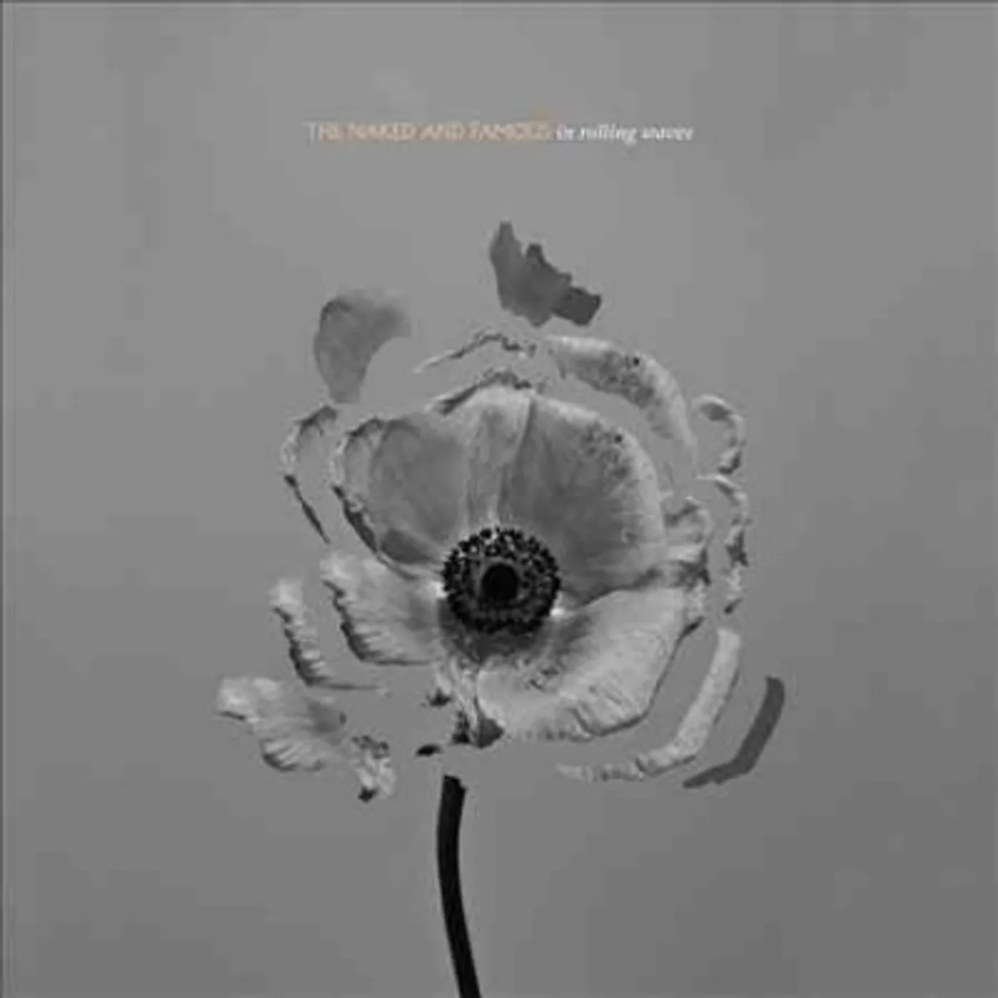 The Naked And Famous In Rolling Waves Vinyl Record