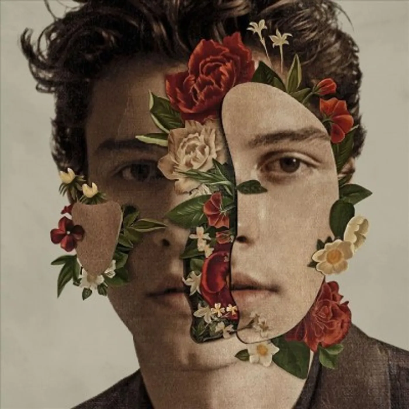 Shawn Mendes Vinyl Record
