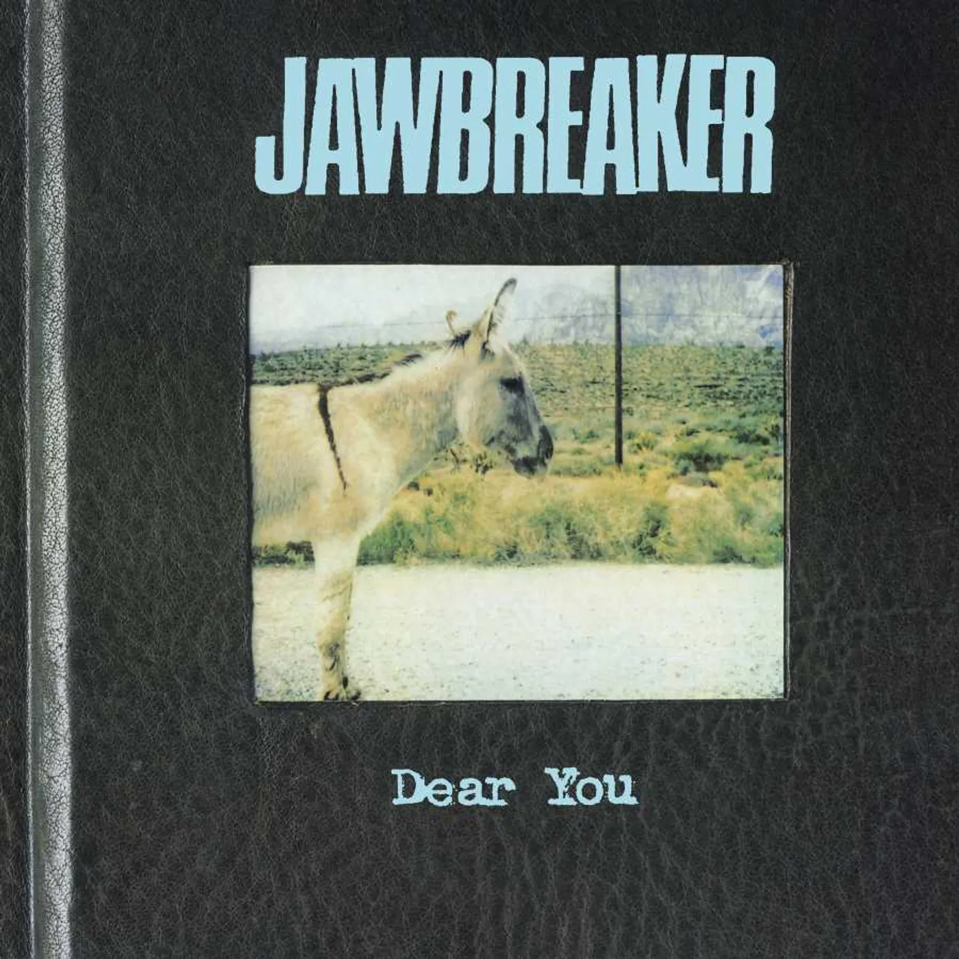 Jawbreaker Dear You Vinyl Record