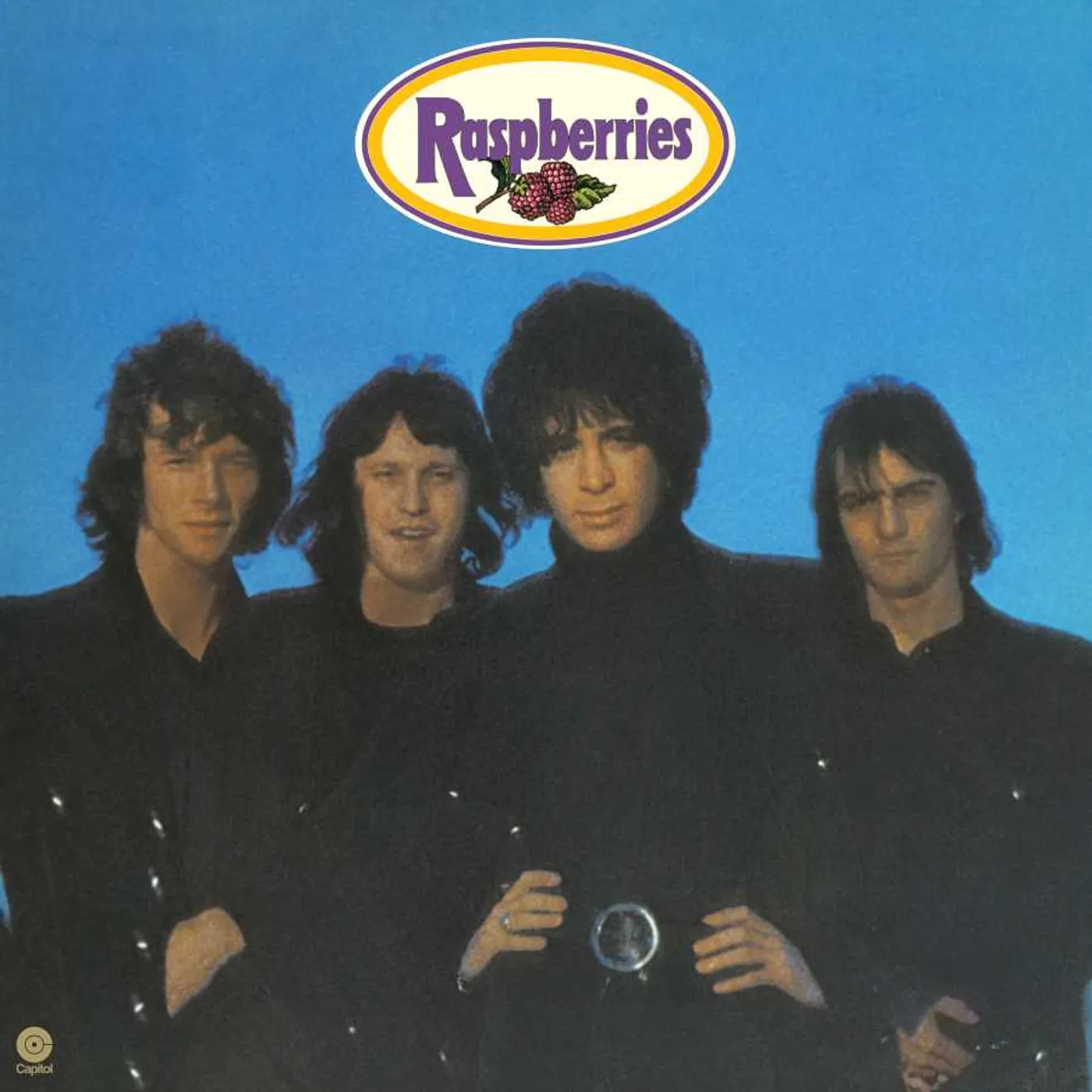 RASPBERRIES Vinyl Record