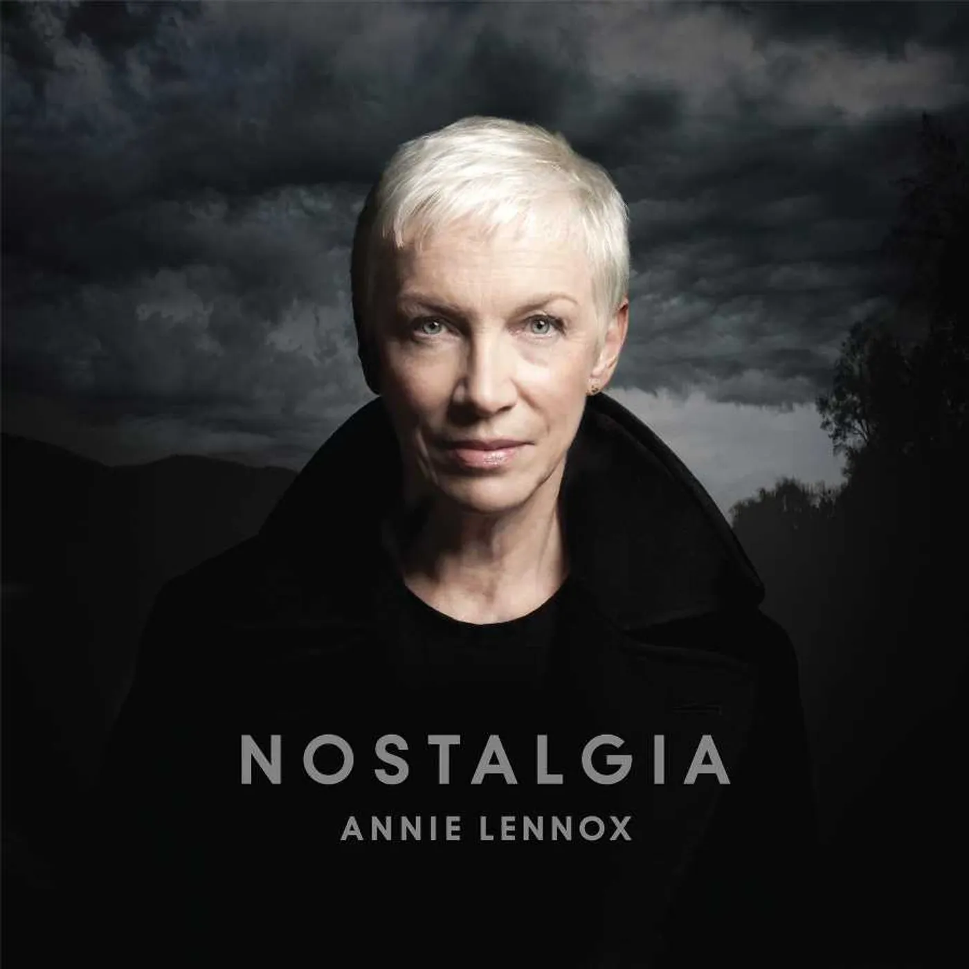 Annie Lennox Nostalgia Vinyl Record