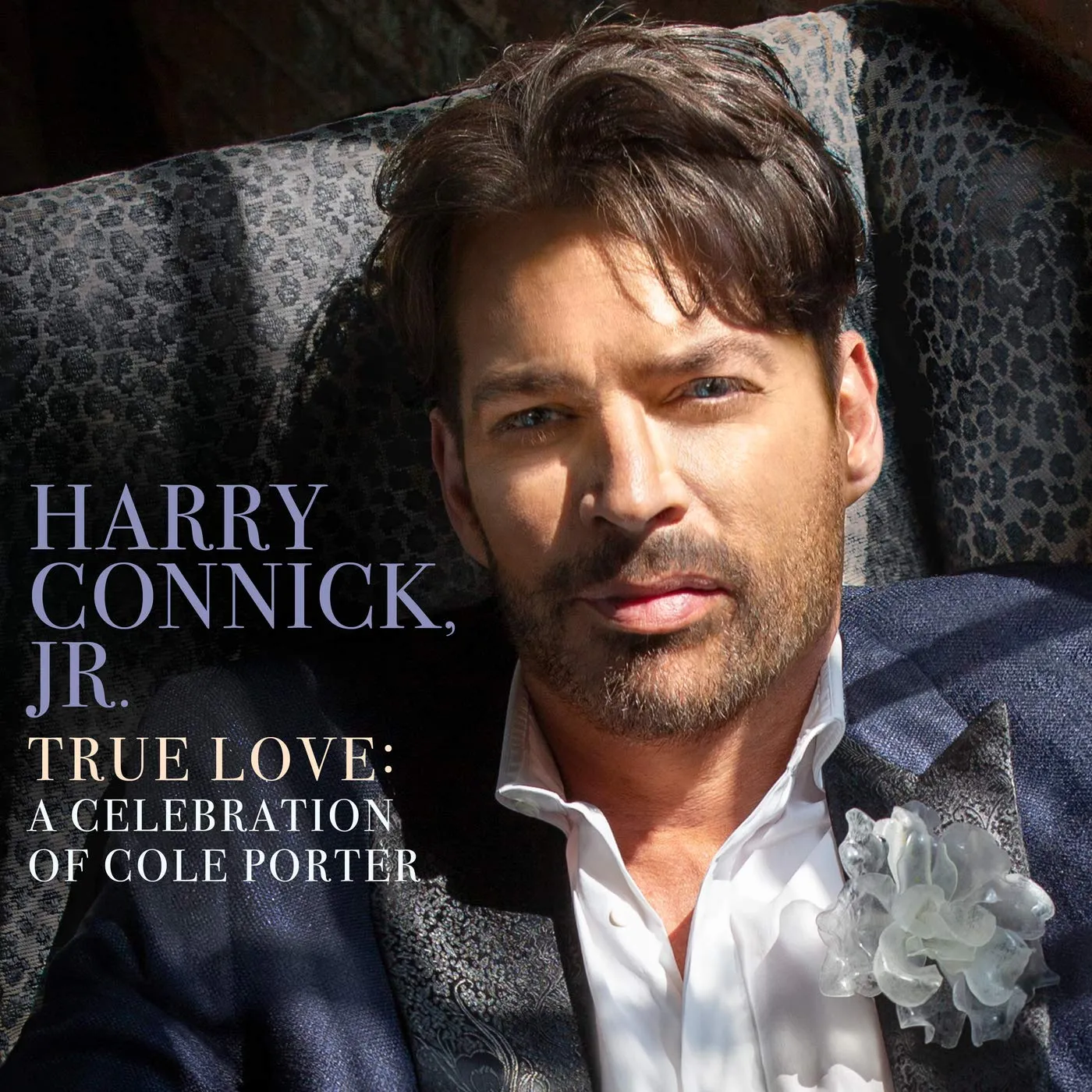 Harry Connick, Jr. TRUE LOVE: A CELEBRATION OF COLE PORTER (2LP) Vinyl Record