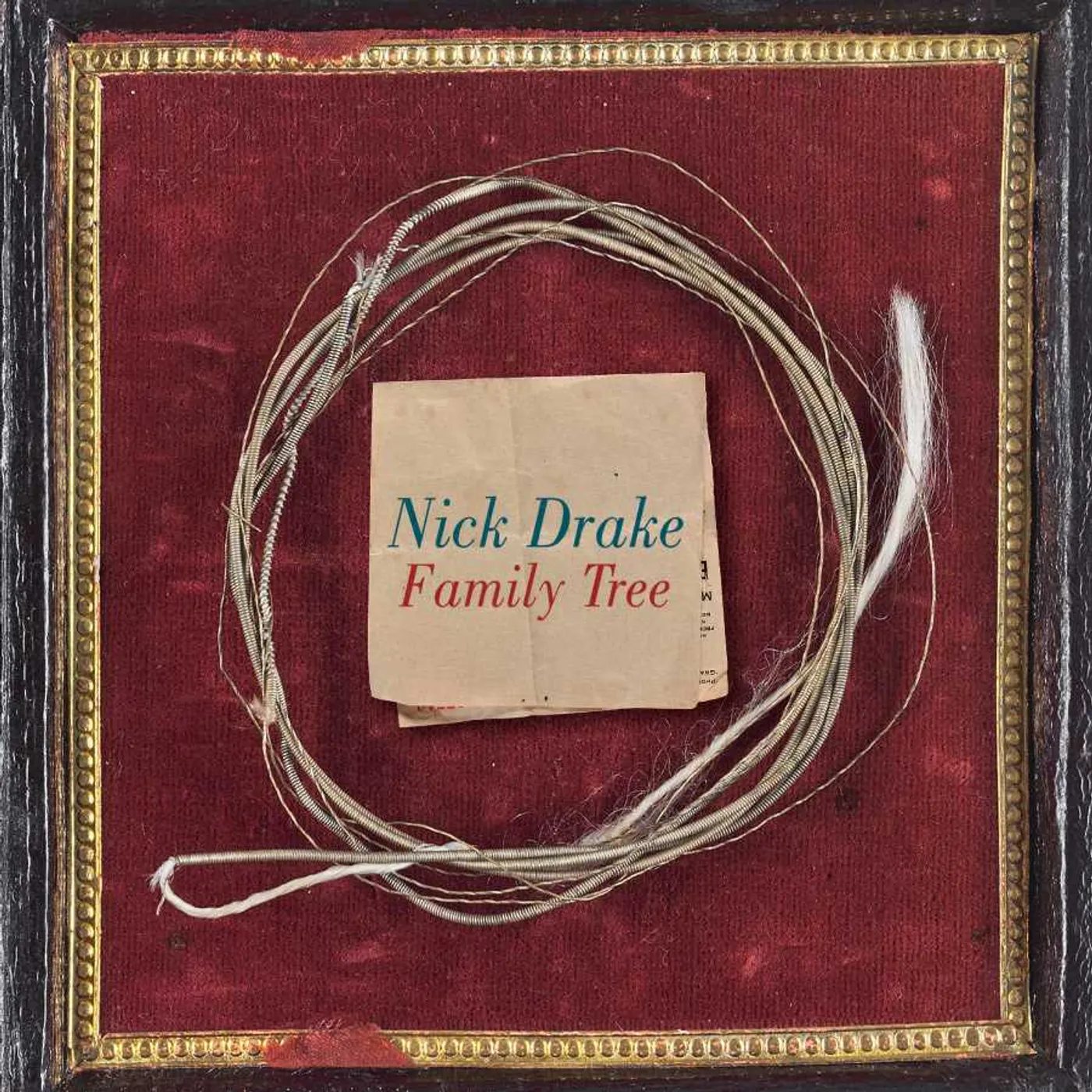 Nick Drake Family Tree Vinyl Record