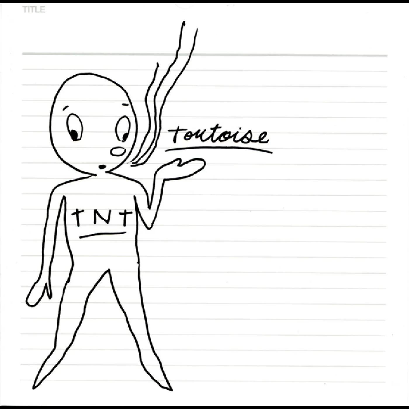 Tortoise TNT Vinyl Record