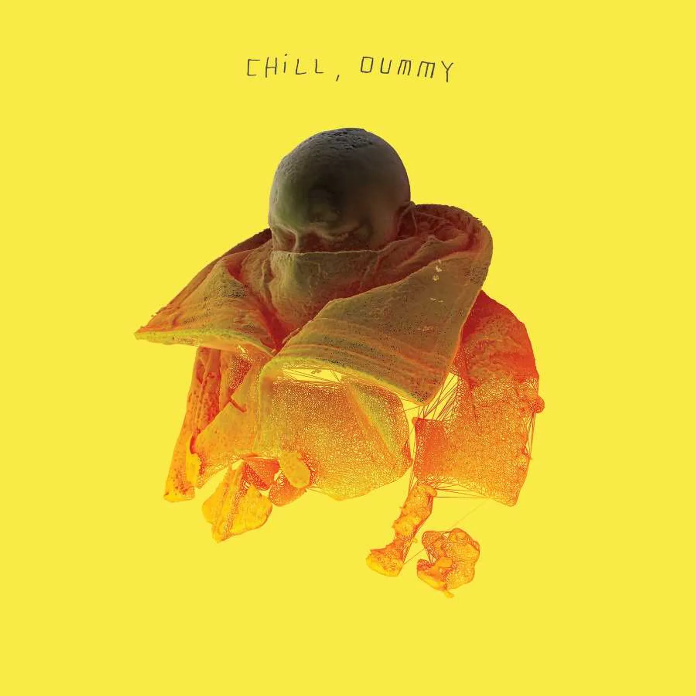 P.O.S CHILL DUMMY Vinyl Record